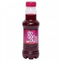 DOĞANAY ŞALGAM 300ML PET ACILI