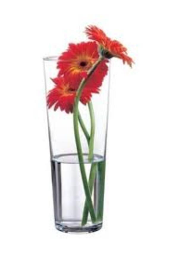 PAŞABAHÇE 43177 FLORA VAZO