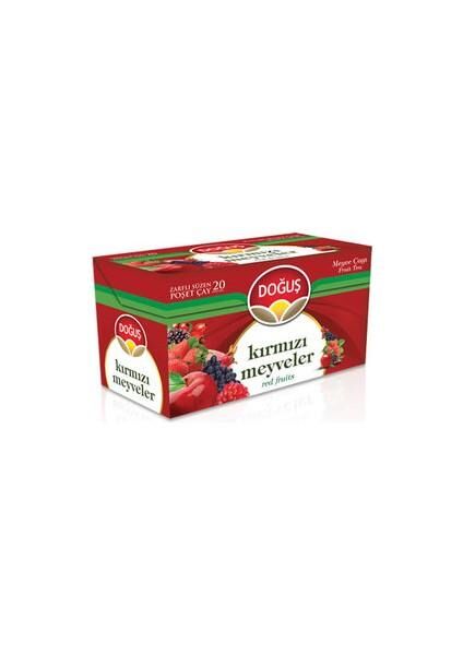 DOĞUŞ ÇAY BİTKİ ÇAYI KIRMIZI MEYVELER 20Lİ