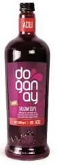 DOĞANAY ŞALGAM 1LT CAM ACILI