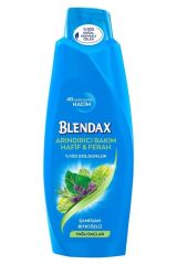BLENDAX ŞAMPUAN 500ML BİTKİ ÖZLÜ