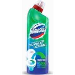 DOMESTOS RENK DEĞİŞTİREN TUVALET UZMANI 750ML