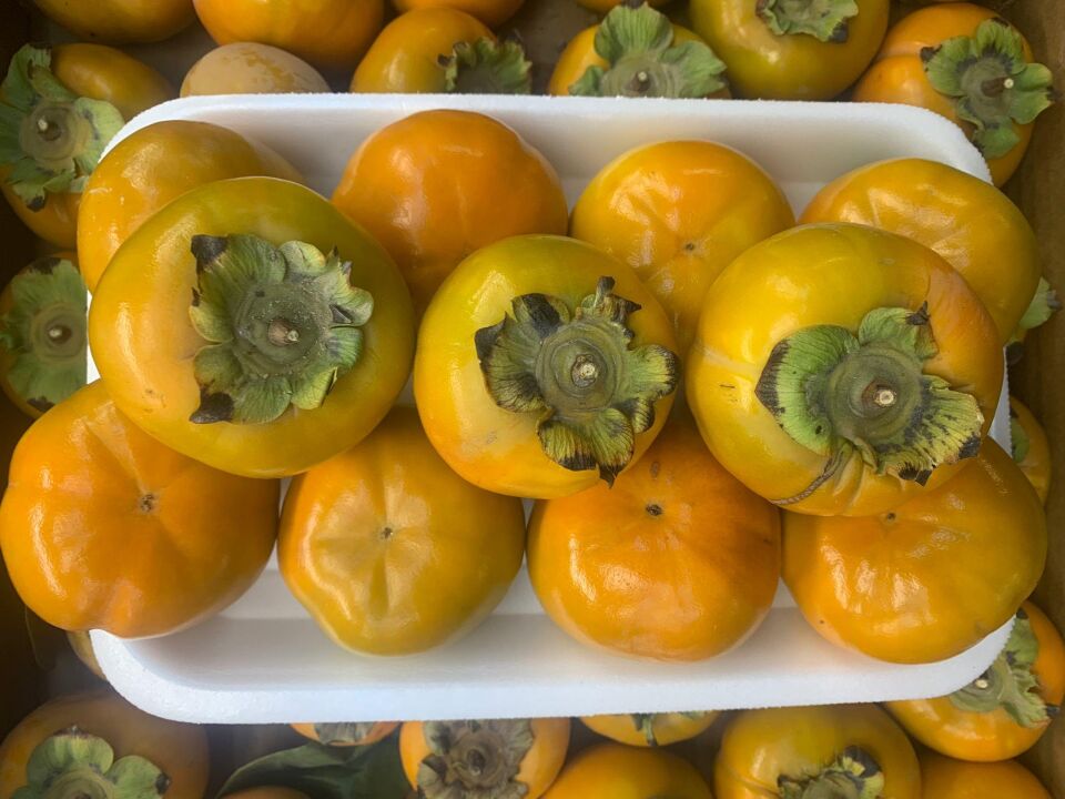 TRABZON CENNET HURMASI BAHÇEMİZDEN 5 KG
