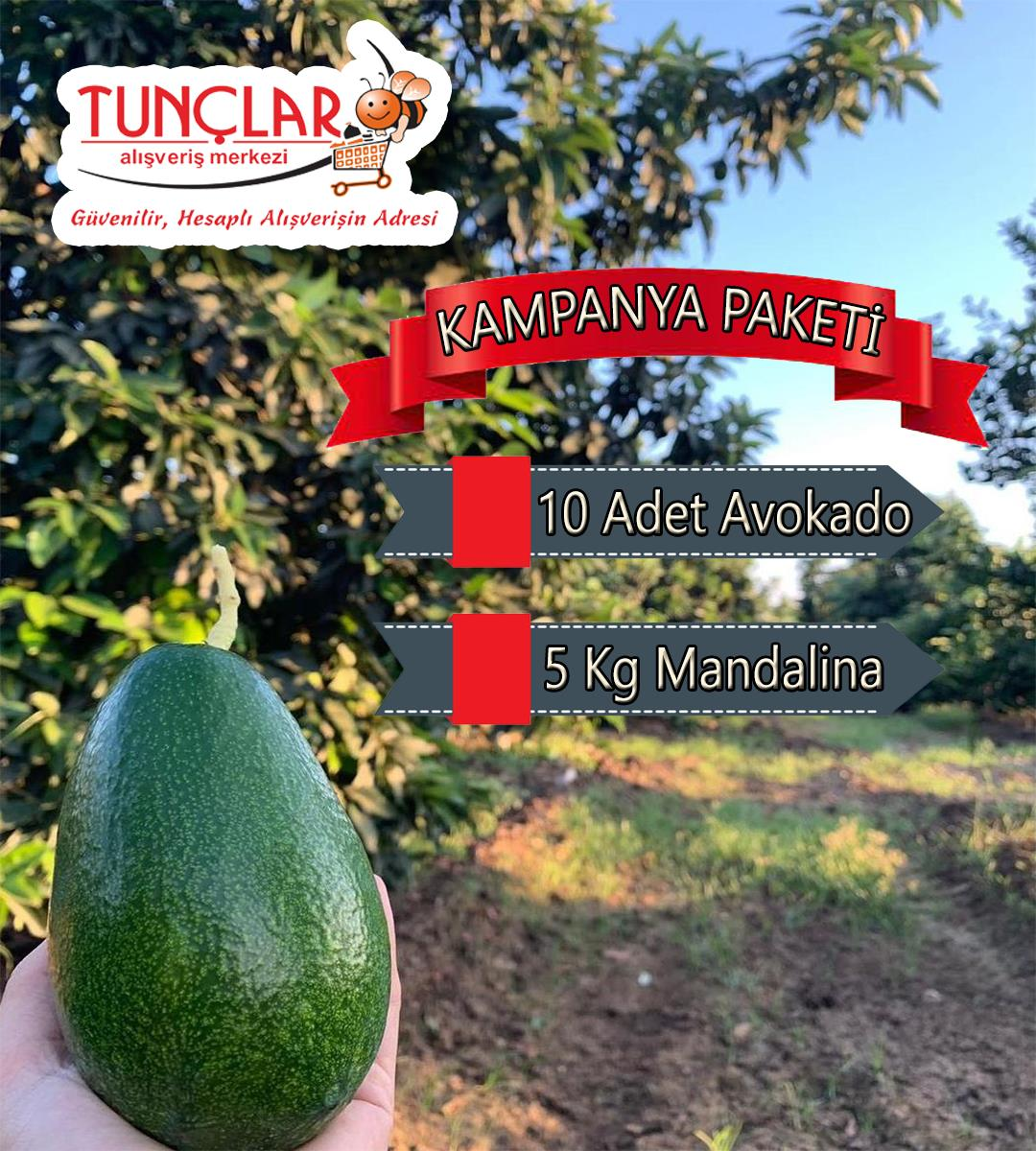 Kampanya Paketi 10 Adet Avokado - 5 Kg Mandalina