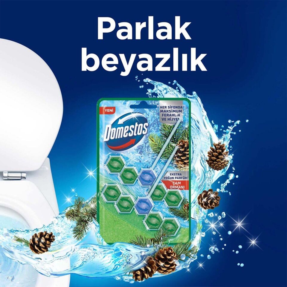 DOMESTOS WC BLOK 2Lİ ÇAM FERAHLIĞI
