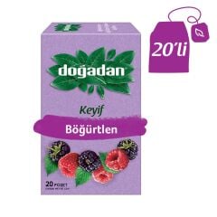 DOĞADAN MEYVE BÖĞÜRTLEN