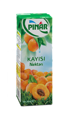 PINAR MEYVELİ NEKTAR 200ML KAYISI