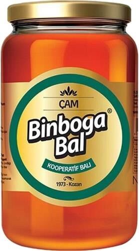 BİNBOĞA 850GR ÇAM BALI CAM