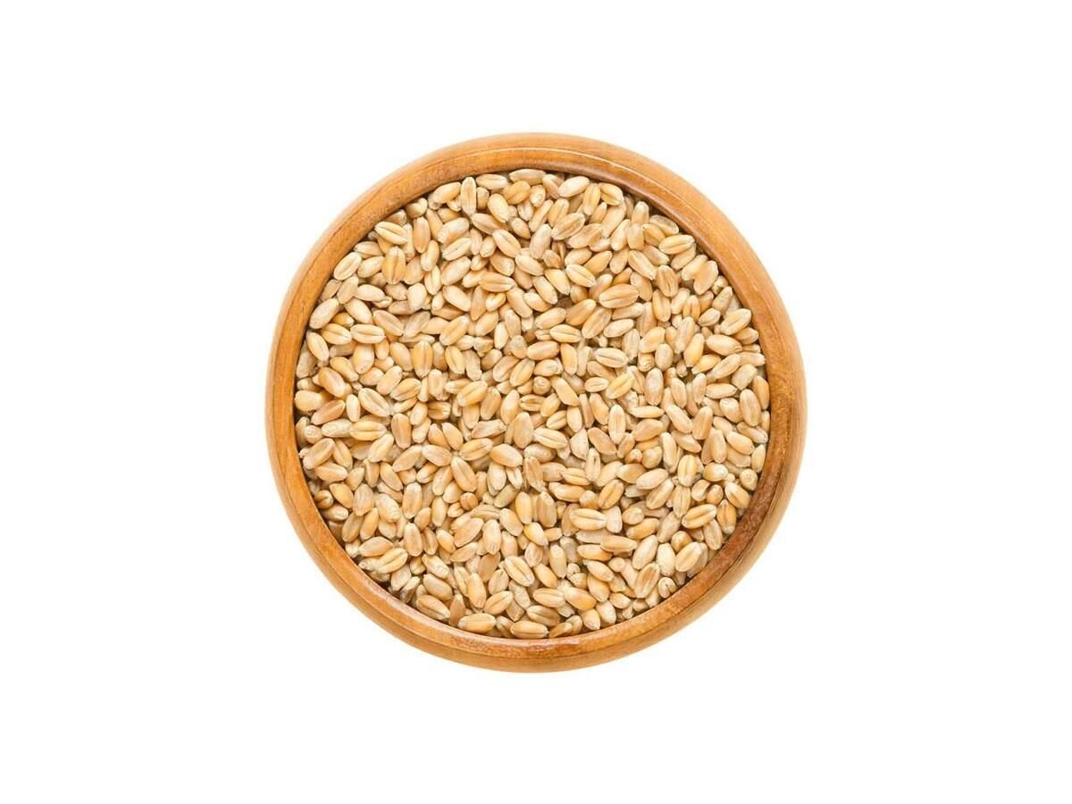 AŞURELİK BUĞDAY SEDEF 1000GR DÖKME