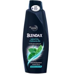 BLENDAX ŞAMPUAN 500ML MENTOLLÜ ERKEK